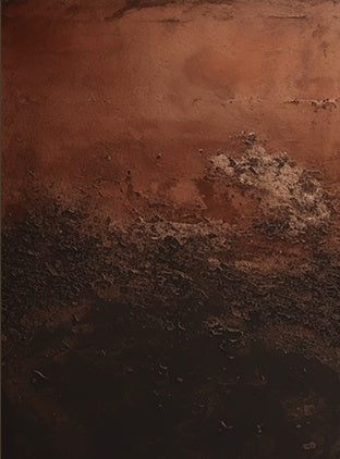 Wabi Sabi Red Black Wall Art Set Dining Room Decor AURA213